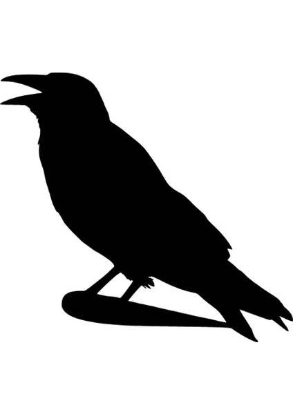 Autosticker^#aç Karga Sticker (Oto-Motor-Laptop-Duvar-Dekor) 20 x 18 cm