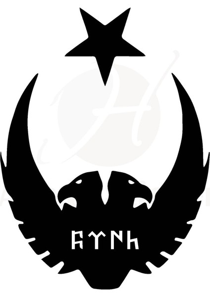 Autosticker^#ay Yıldız Kartal Göktürkçe Türk Oto Kaput Sticker 30 x 39 cm