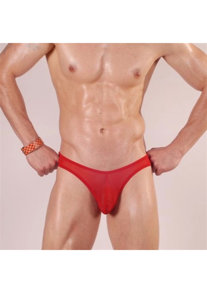 Modlive Don Moris DM140521 Slip Çamaşır fiyatları