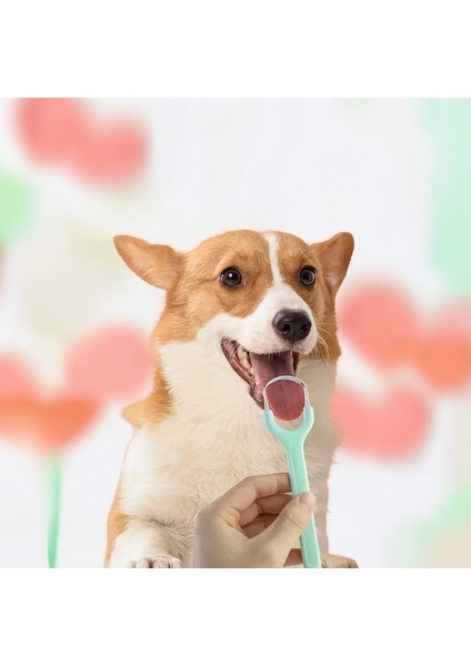 Kedi Köpek için Paslanmaz Çelikten Dil Temizleyici