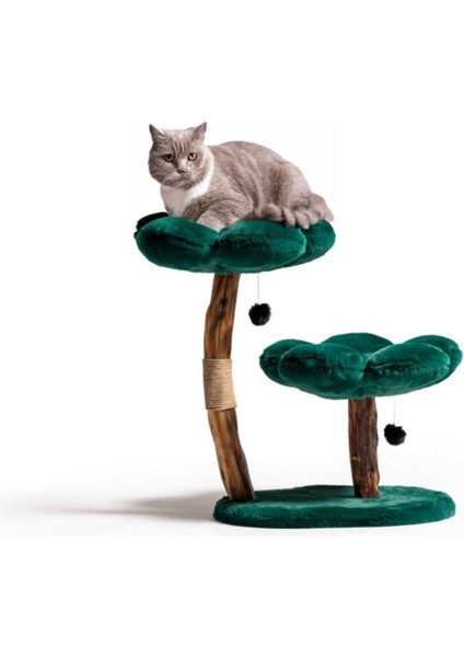Zümrüt Yeşili Kedi Ağacı