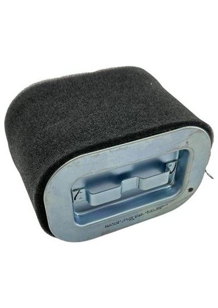 Tvs Ntorq 125 Hava Filtresi Elemanı fiyatları