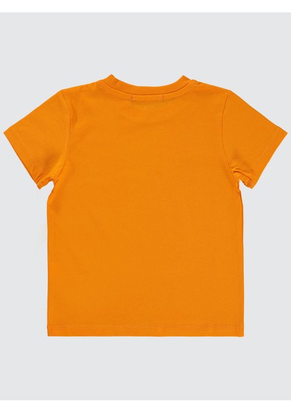 Erkek Çocuk Tişört 2-5 Yaş Açık Oranj fiyatları