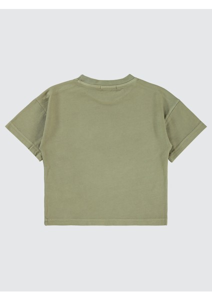 Erkek Çocuk Tişört 2-5 Yaş Taş Rengi fiyatları