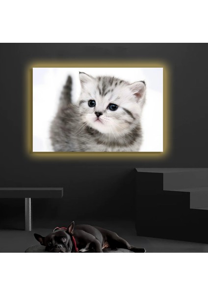 LED Işıklı Kanvas Tablo, 3D Dekoratif Baskılı Tablo Yapay Zeka Destekli Modern Tasarımlar 335