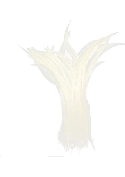 10PCS I Tüyler 35-40CM Craft (Yurt Dışından)