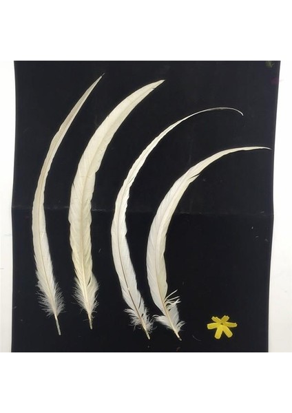 10PCS I Tüyler 35-40CM Craft (Yurt Dışından) modelleri