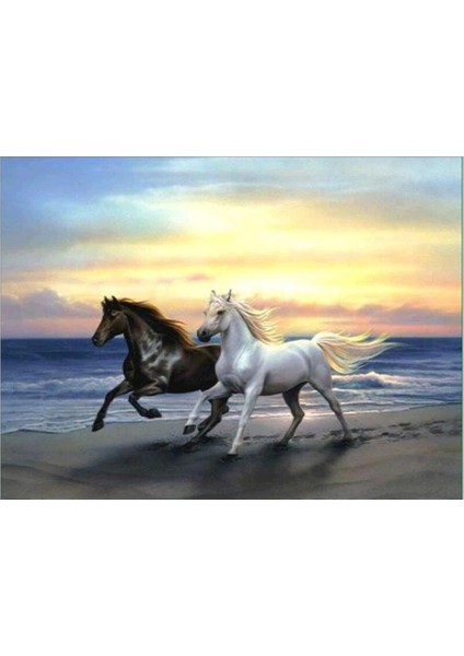 I Dıy Kristal Boyama El Sanatları Ş Ev Dekorasyon 40X30 cm (Yurt Dışından)