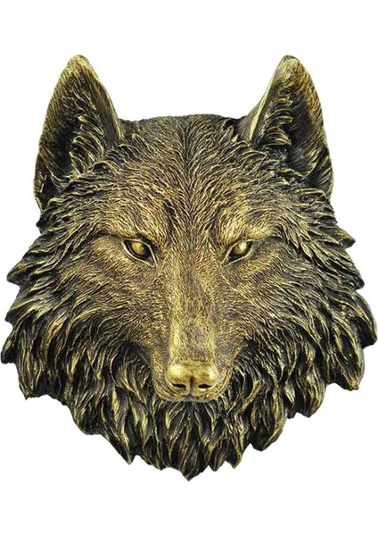 Çapı Boyama Ortaçağ Tahnitçilik Büyücüleri Polyester Ölçüleri Kurt (Yurt Dışından)