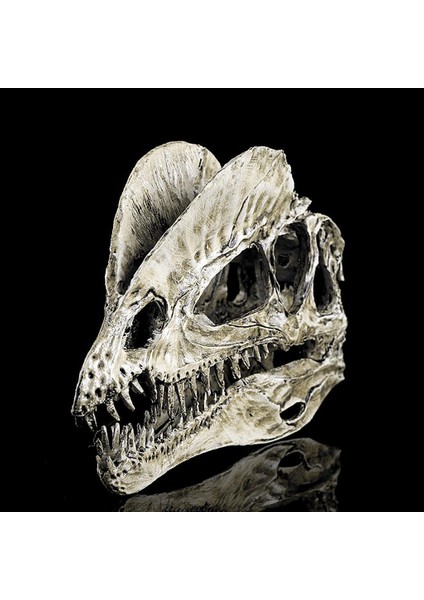 Reçine Dinozor Dilophosaurus Kafatası Öğ (Yurt Dışından)
