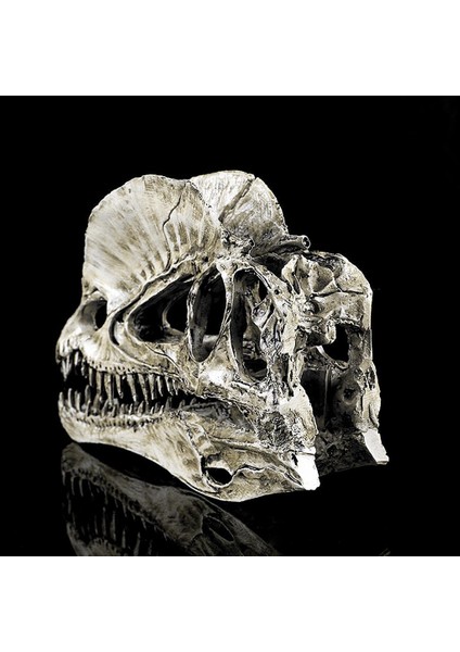 Reçine Dinozor Dilophosaurus Kafatası Öğ (Yurt Dışından)