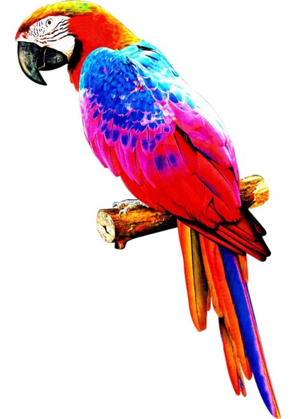 Kleurrijke Kunstmatige Papegaai Beeldjes Opknoping Vogel Model Heykeltıraş Dıy D (Yurt Dışından)