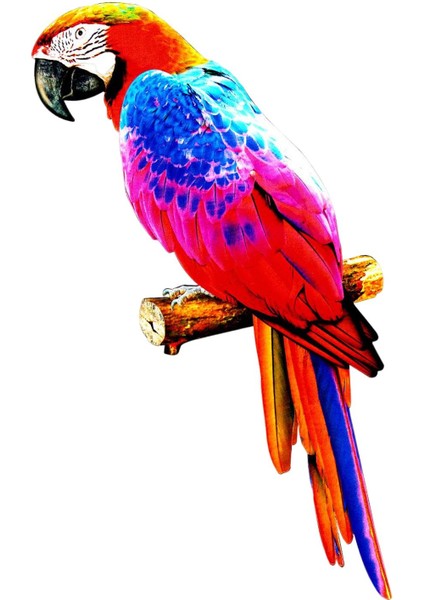 Kleurrijke Kunstmatige Papegaai Beeldjes Opknoping Vogel Model Heykeltıraş Dıy D (Yurt Dışından)