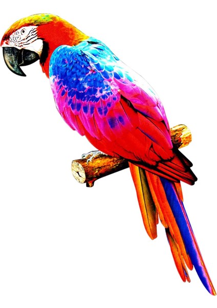 Kleurrijke Kunstmatige Papegaai Beeldjes Opknoping Vogel Model Heykeltıraş Dıy D (Yurt Dışından)