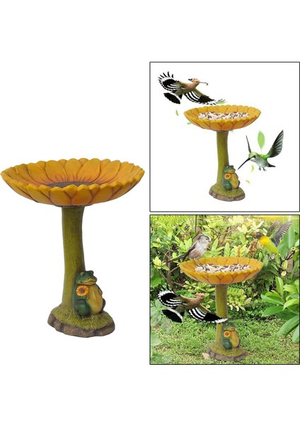1 Kuş Banyosu Heykeli Çeş Birdfeeder Birdbath Dekorasyon Kurbağa (Yurt Dışından) indirimleri