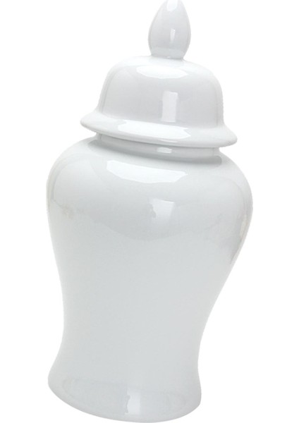 Modern Zencefil Kavanoz I Kavanozu Koleksiyonluk (Yurt Dışından) fırsatları