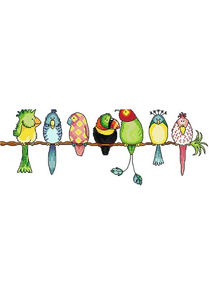 Dıy Iğne I 11CT 57×24CM (Yurt Dışından)