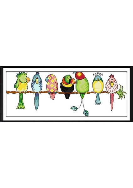 Dıy Iğne I 11CT 57×24CM (Yurt Dışından) fiyatları