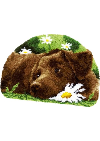 Mandal Halı Kitleri El Sanatları Tığ Işi Nakış Ev Dekor (Yurt Dışından)