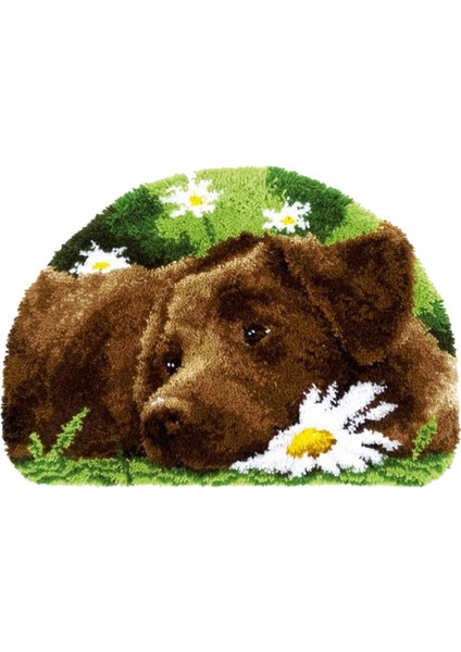 Mandal Halı Kitleri El Sanatları Tığ Işi Nakış Ev Dekor (Yurt Dışından) fiyatları