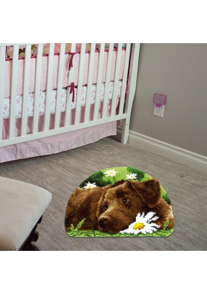 Mandal Halı Kitleri El Sanatları Tığ Işi Nakış Ev Dekor (Yurt Dışından) modelleri