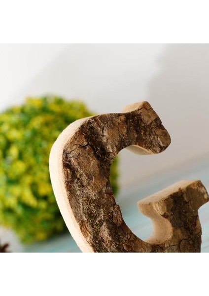 Ahş Harf Yazı Harfleri Yüzer - G (Yurt Dışından) fırsatları