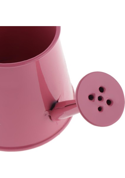 Sürahi Çiçek I Süsleme (Yurt Dışından) fırsatları