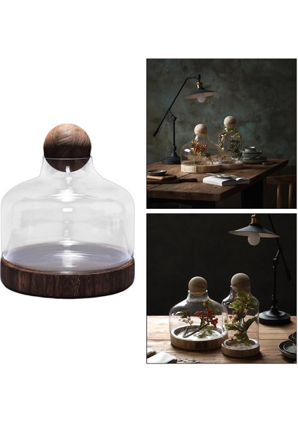 Cloche Çan Kavanoz Çiçek Parçası 2731 Top (Yurt Dışından)