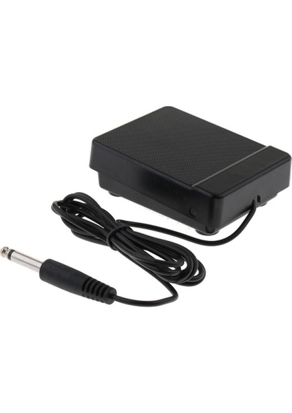 1 Sustain Pedalı I 61/88KEY W/6.3mm Fiş (Yurt Dışından)