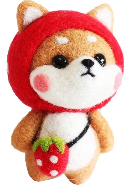 Araçlar ve Öğreticiler ile Başlayanlar Için Yap Keçe (Yurt Dışından)