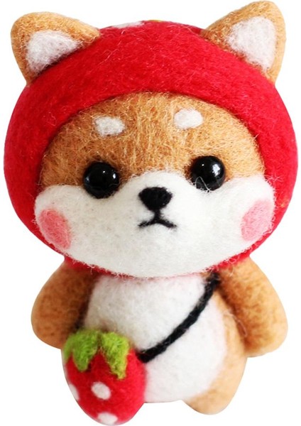 Araçlar ve Öğreticiler ile Başlayanlar Için Yap Keçe (Yurt Dışından) fiyatları