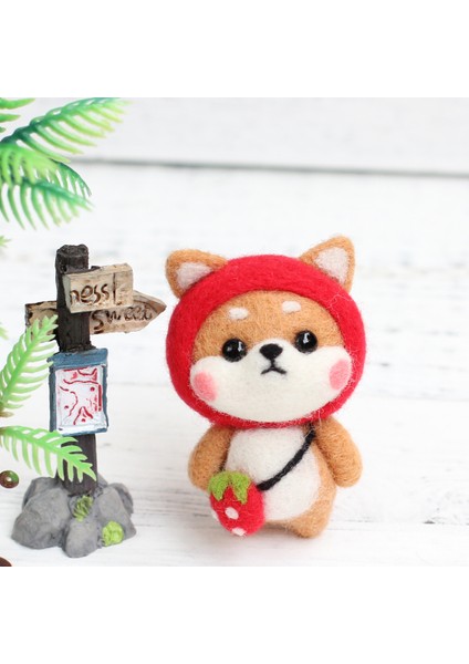 Araçlar ve Öğreticiler ile Başlayanlar Için Yap Keçe (Yurt Dışından) modelleri