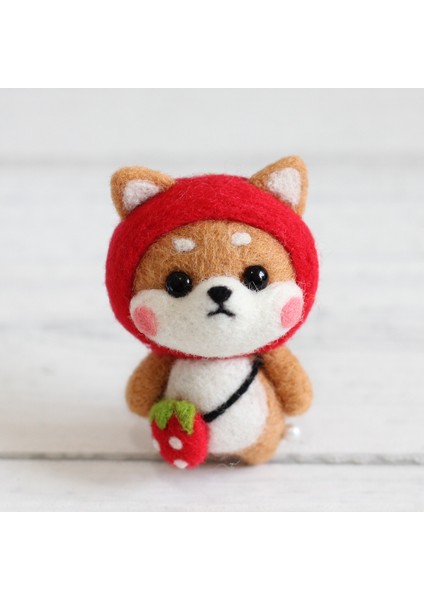 Araçlar ve Öğreticiler ile Başlayanlar Için Yap Keçe (Yurt Dışından) indirimleri