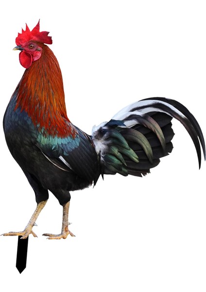 Heykeli Avlu Çimleri Için Kazıkları (Yurt Dışından) indirimleri