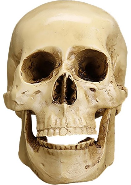Reçine Heykeli Heykelcik I Dekor 11X8.5X6.5 cm (Yurt Dışından)