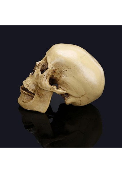 Reçine Heykeli Heykelcik I Dekor 11X8.5X6.5 cm (Yurt Dışından)