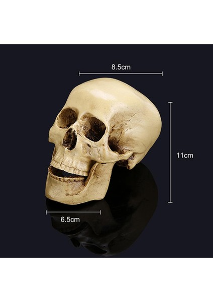 Reçine Heykeli Heykelcik I Dekor 11X8.5X6.5 cm (Yurt Dışından)