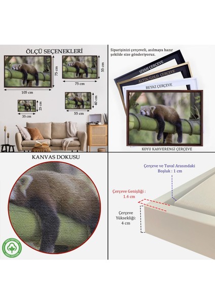 Çerçeveli Kırmızı Panda Dekoratif Kanvas TABLO-1140 indirimleri