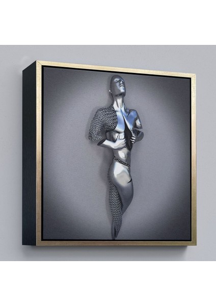 Çerçeveli Romantik Beden, Aşk Sanatı, 3D Efekti Gümüş Insan, Metalik Efektli Kanvas TABLO-5352