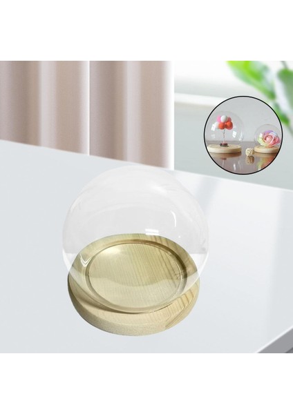 Kubbe Cloche Dekorasyonlu Teraryum Vitrin 18CM (Yurt Dışından) fiyatları
