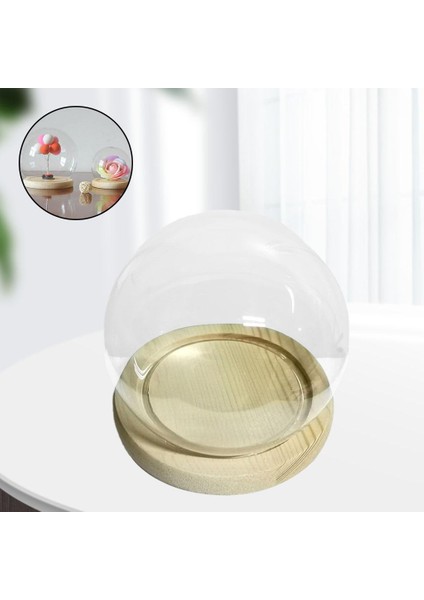 Kubbe Cloche Dekorasyonlu Teraryum Vitrin 18CM (Yurt Dışından) modelleri