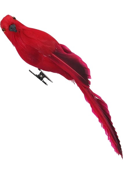 1x Gerçekçi Papağş Tüy Açık Ağı Dekoru 45 cm 20 cm (Yurt Dışından)