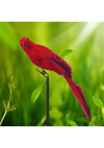 1x Gerçekçi Papağş Tüy Açık Ağı Dekoru 45 cm 20 cm (Yurt Dışından) fırsatları