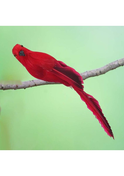 1x Gerçekçi Papağş Tüy Açık Ağı Dekoru 45 cm 20 cm (Yurt Dışından) indirimleri
