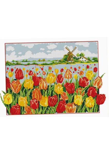 Dekorasyon cm (Yurt Dışından)