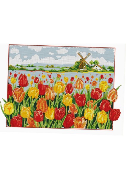 Dekorasyon cm (Yurt Dışından) fiyatları