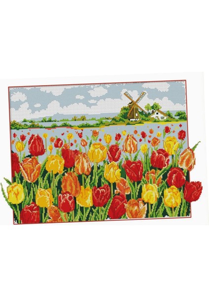 Dekorasyon cm (Yurt Dışından) modelleri