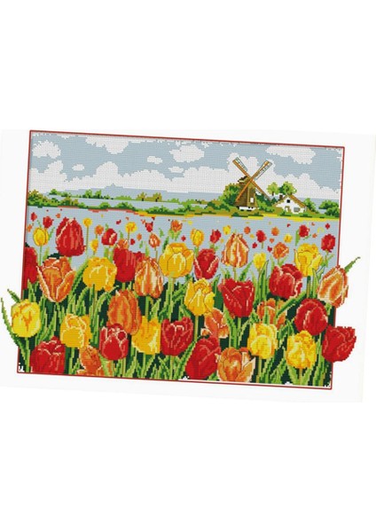 Dekorasyon cm (Yurt Dışından) fırsatları