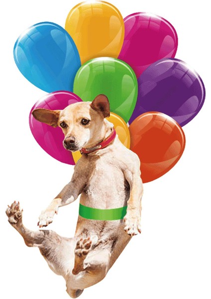 Balon Süsleme, Balon Pastoral ile Iç Sarkık (Yurt Dışından)