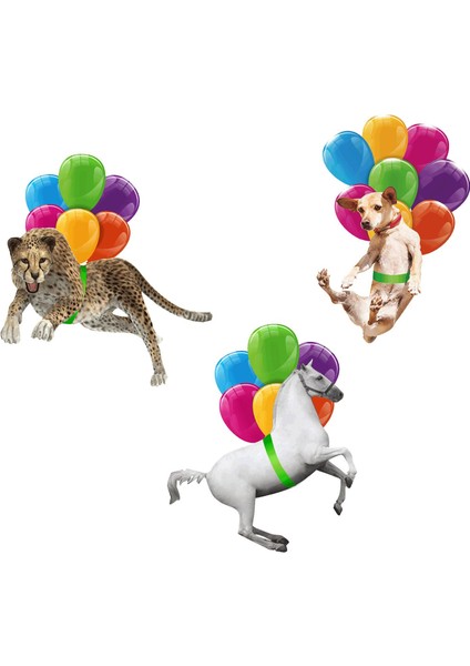 Balon Süsleme, Balon Pastoral ile Iç Sarkık (Yurt Dışından) modelleri